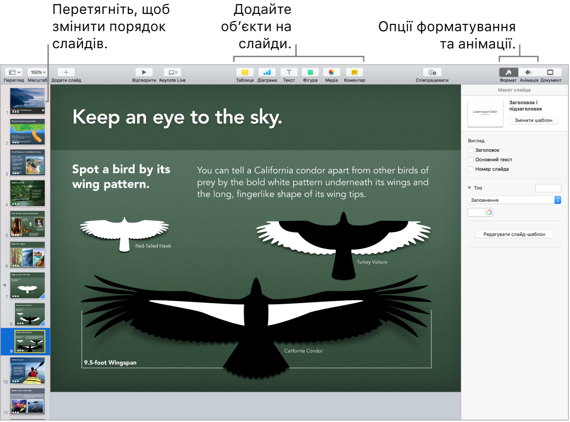 Вікно програми Keynote, у якому показано, як змінювати порядок слайдів, додавати об’єкти на слайди, а також змінювати опції форматування й додавати анімацію.