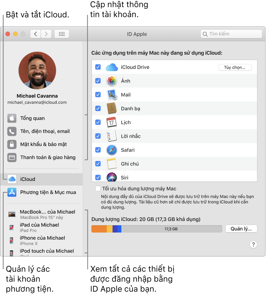 Khung ID Apple trong Tùy chọn hệ thống. Bấm vào một mục trong thanh bên để cập nhật thông tin tài khoản của bạn, bật hoặc tắt iCloud, quản lý các tài khoản phương tiện và xem tất cả các thiết bị được đăng nhập bằng ID Apple của bạn.