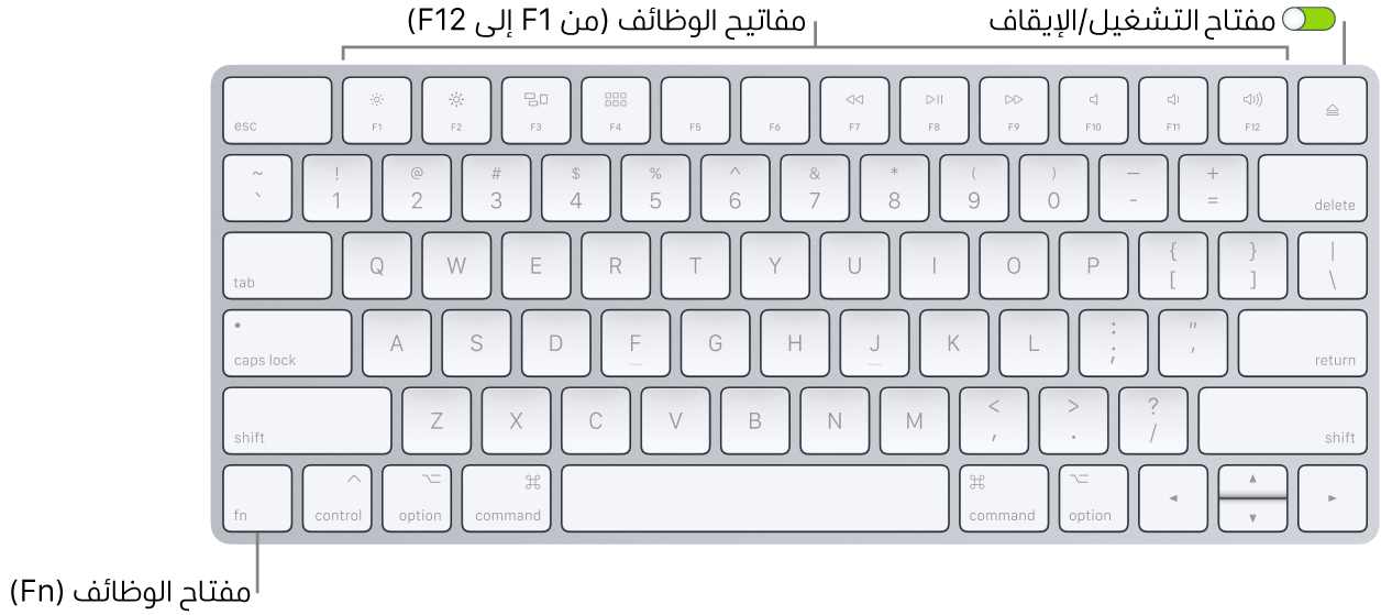 لوحة مفاتيح Magic Keyboard تظهر مفتاح الوظائف (Fn) في الزاوية السفلية اليمنى ومفتاح التشغيل/إيقاف التشغيل في الزاوية العلوية اليسرى من لوحة المفاتيح.