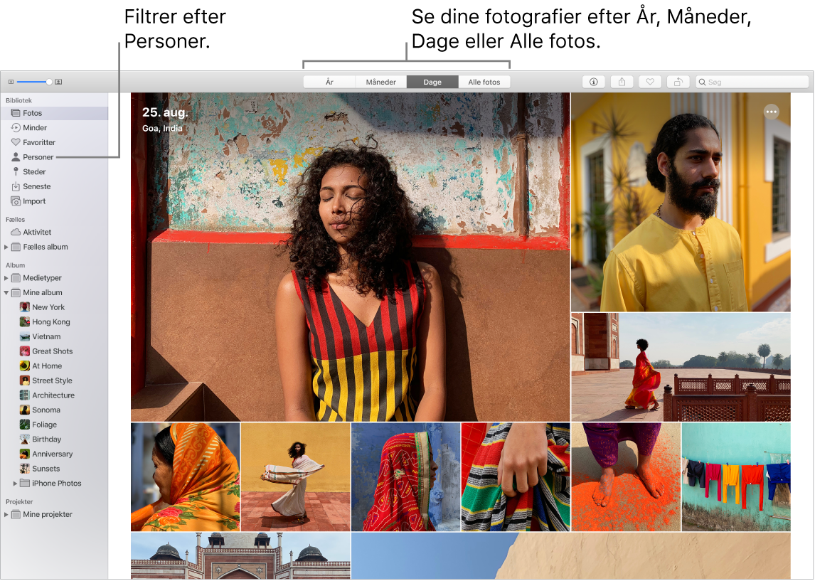 Et Fotos-vindue, der viser, hvordan fotos kan filtreres i dit album på forskellige måder.