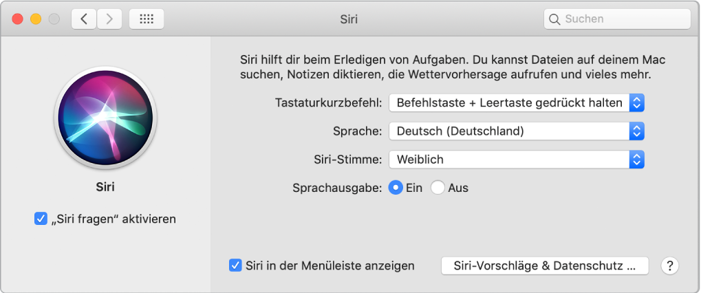 Das Fenster der Systemeinstellung „Siri“ mit aktivierter Option „‚Siri fragen’ aktivieren“ links und verschiedenen Optionen zum Anpassen von Siri rechts.