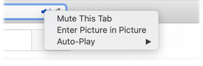 The submenu for the Audio icon, with Mute This Tab, Enter Picture in Picture, and Auto-Play items.