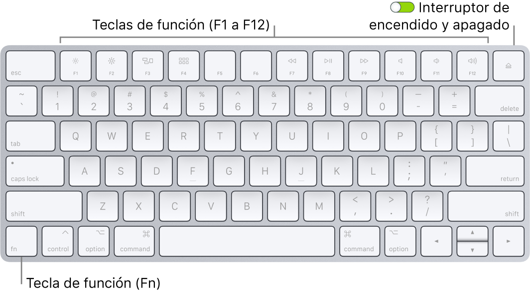 Teclado Magic Keyboard de mostrando la tecla de función (Fn) en la esquina inferior izquierda y el botón de encendido/apagado en la esquina superior derecha del teclado.