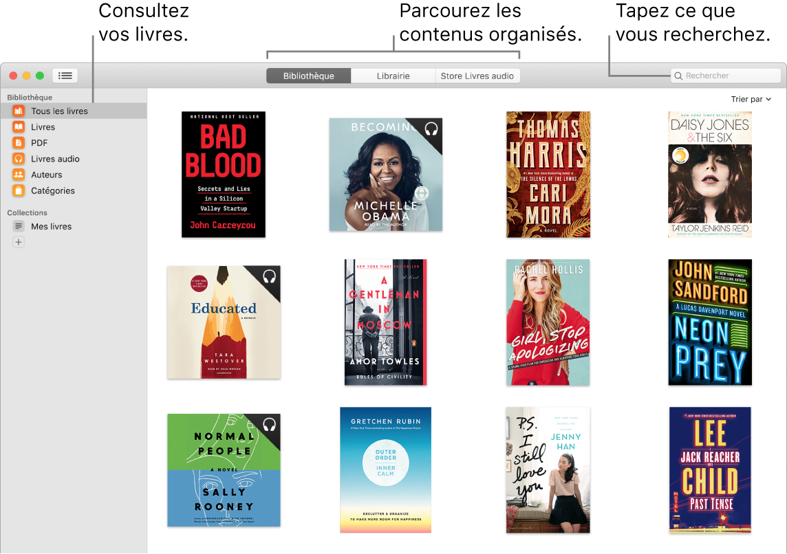 Une fenêtre de l’app Livres montrant comment afficher des livres, parcourir les éléments filtrés et effectuer des recherches.