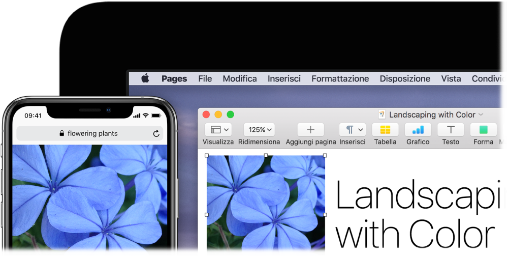 iPhone che mostra una foto, accanto a un Mac che mostra la stessa foto incollata in un documento di Pages.