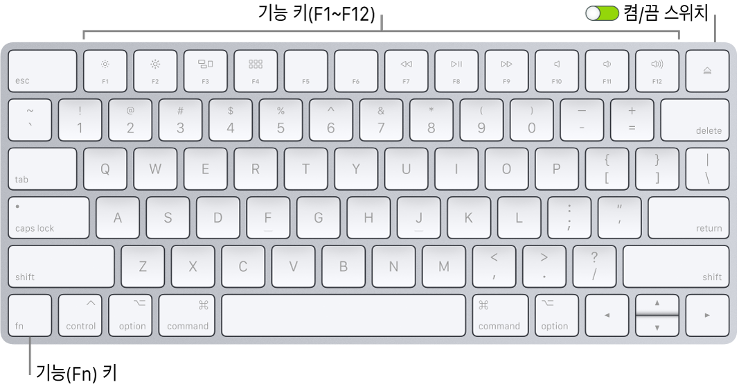 왼쪽 하단의 기능(Fn) 키와 키보드의 오른쪽 상단 모서리에 있는 켬/끔 스위치를 보여주는 Magic Keyboard.