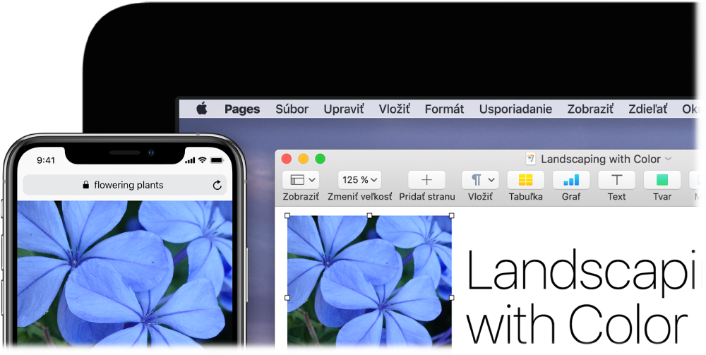 iPhone zobrazujúci fotku, umiestnený vedľa Macu, na ktorom je zobrazená tá istá fotka vkladaná do dokumentu v aplikácii Pages.
