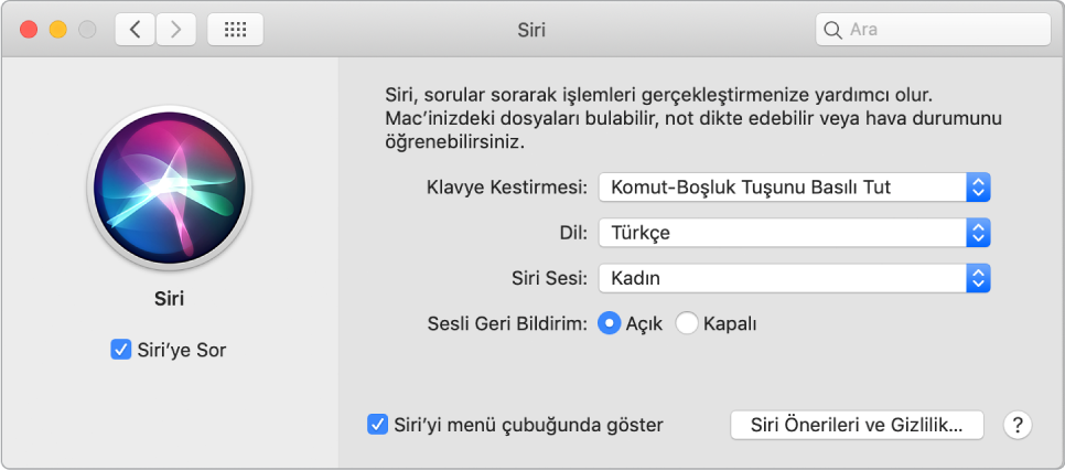 Sol tarafta Siri’yi Etkinleştir seçili halde olan ve sağ tarafta çeşitli Siri’yi özelleştirme seçenekleri bulunan Siri tercihleri penceresi.