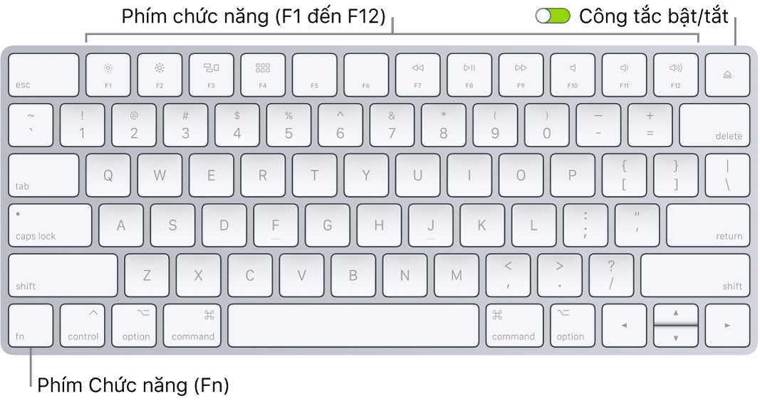 Magic Keyboard đang hiển thị phím Function (Fn) ở góc phía dưới bên trái và công tắc bật/tắt ở góc phía trên bên phải của bàn phím.