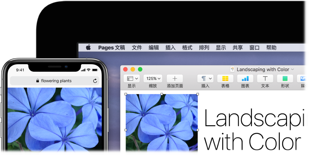 iPhone 显示一张照片，旁边的 Mac 上显示该照片被粘贴到 Pages 文稿中。
