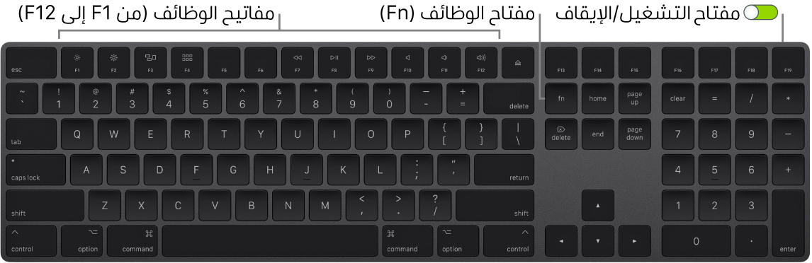 لوحة مفاتيح Magic Keyboard تظهر مفتاح الوظائف (Fn) في الزاوية السفلية اليسرى ومفتاح التشغيل/إيقاف التشغيل في الزاوية العلوية اليمنى من لوحة المفاتيح.
