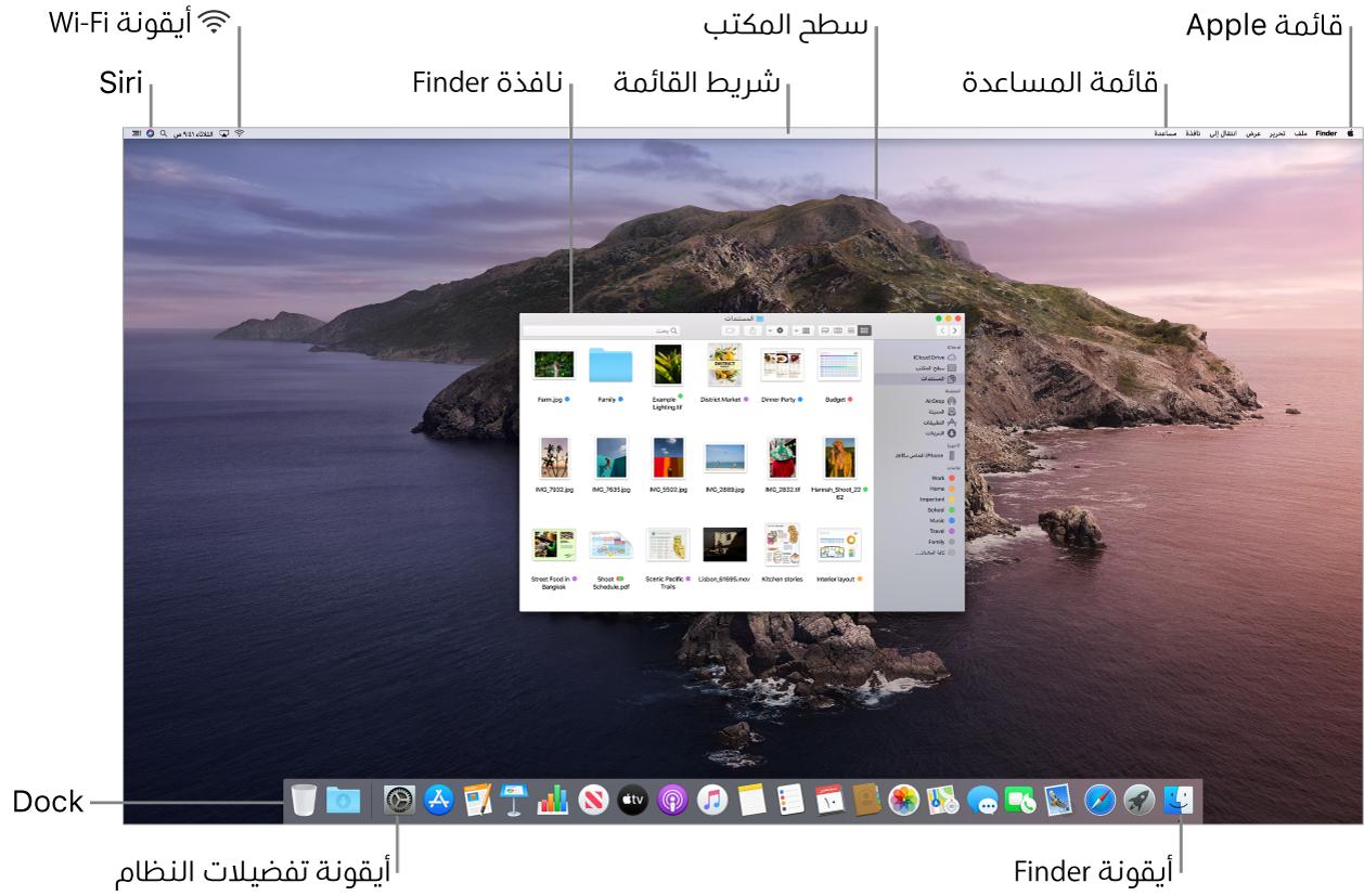 شاشة Mac تعرض قائمة Apple، والقائمة مساعدة، وسطح المكتب، وشريط القائمة، ونافذة Finder، وأيقونة Wi-Fi، وأيقونة اسأل Siri، والـ Dock، وأيقونة Finder، وأيقونة تفضيلات النظام والـ Dock.