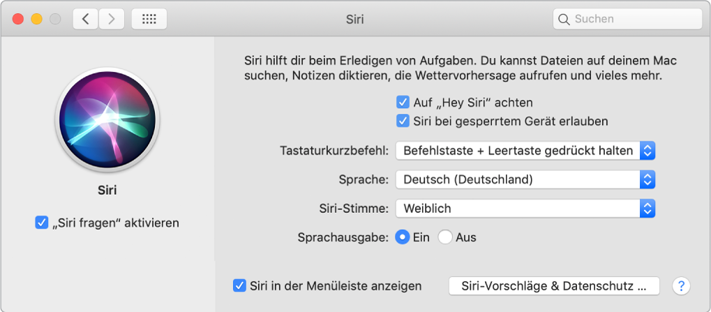 Das Fenster der Systemeinstellung „Siri“ mit aktivierter Option „„Siri fragen“ aktivieren“ links und mehreren Optionen zum Anpassen von Siri rechts, u. a. „Auf „Hey Siri“ achten“.