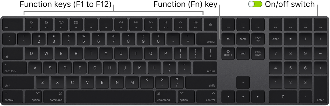 Magic Keyboard showing the Function (Fn) key in the bottom-left corner and the on/off switch in the upper-right corner of the keyboard.