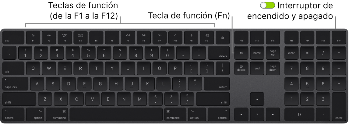 Teclado Magic Keyboard con la tecla de función (Fn) en la parte inferior izquierda y el interruptor de encendido/apagado en la esquina superior derecha del teclado.