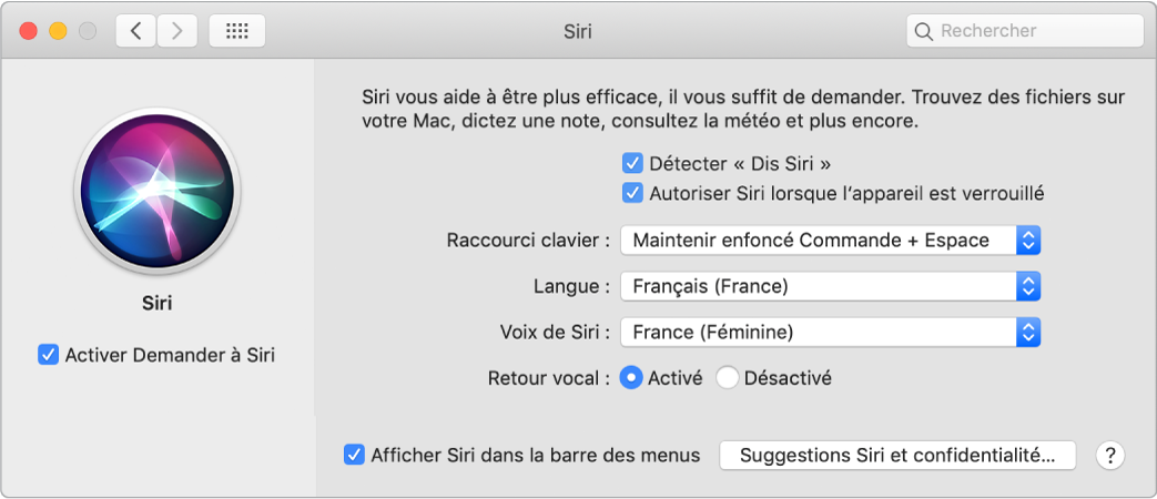 La fenêtre des préférences Siri, avec l’option Activer Demander à Siri sélectionnée à gauche et plusieurs options pour personnaliser Siri à droite, notamment Détecter « Dis Siri ».