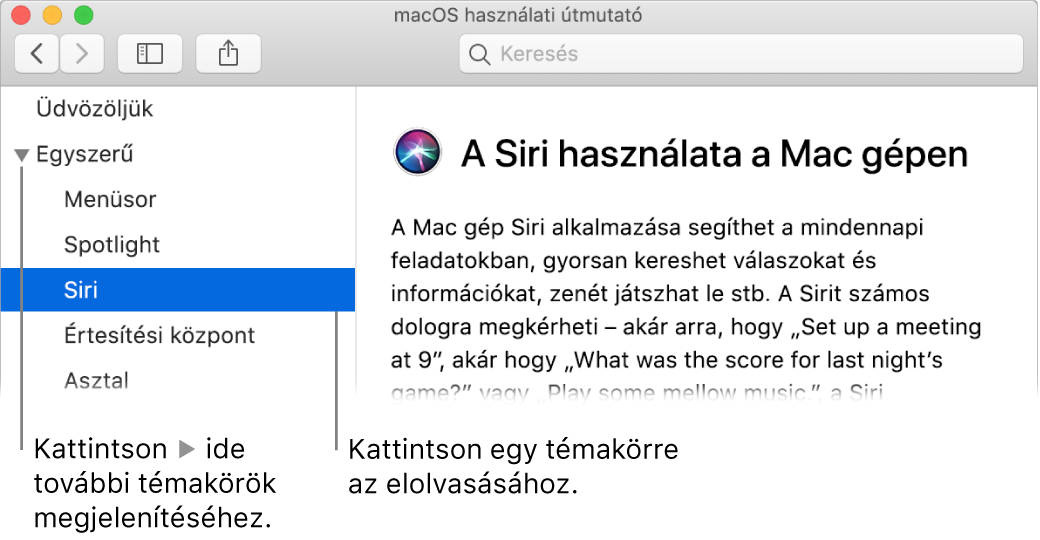 A Súgó megtekintőablaka, amelyben a témakörök oldalsávról történő megtekintésének és az adott témakörhöz tartozó tartalom megjelenítésének módja látható.