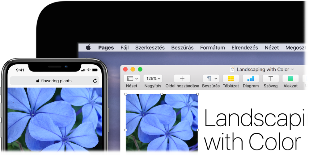 Egy iPhone, amelynek képernyőjén egy fotó látható, mellette pedig egy Mac gép, amelyen a fotó be van illesztve egy Pages-dokumentumba.