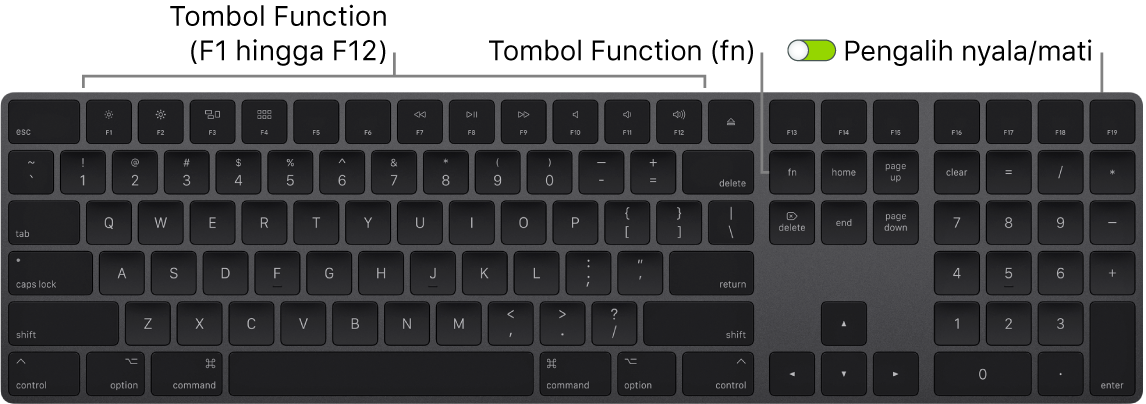 Magic Keyboard menampilkan tombol Function (Fn) di pojok kiri bawah dan pengalih nyala/mati di pojok kanan atas papan ketik.