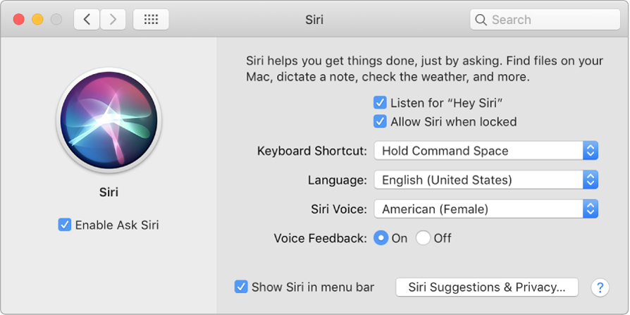 Сол жағында Enable Ask Siri параметрі таңдалған, ал оң жағында Siri көмекшісін теңшеуге арналған бірнеше параметрлер, соның ішінде Listen for «Hey Siri»» параметрі бар Siri preferences терезесі.
