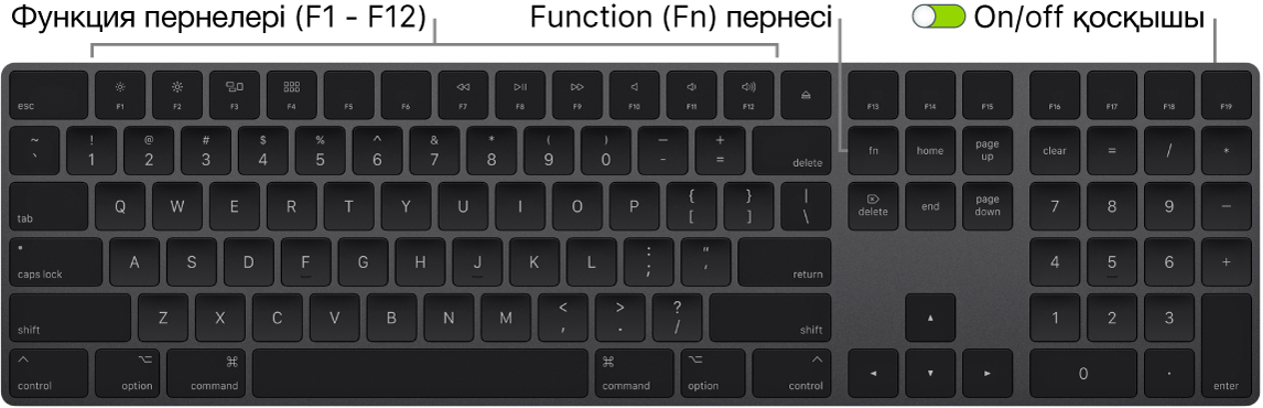 Төменгі сол жақ бұрышта Function (Fn) пернесін және пернетақтаның жоғарғы оң жақ бұрышында on/off қосқышын көрсетіп тұрған Magic Keyboard пернетақтасы.