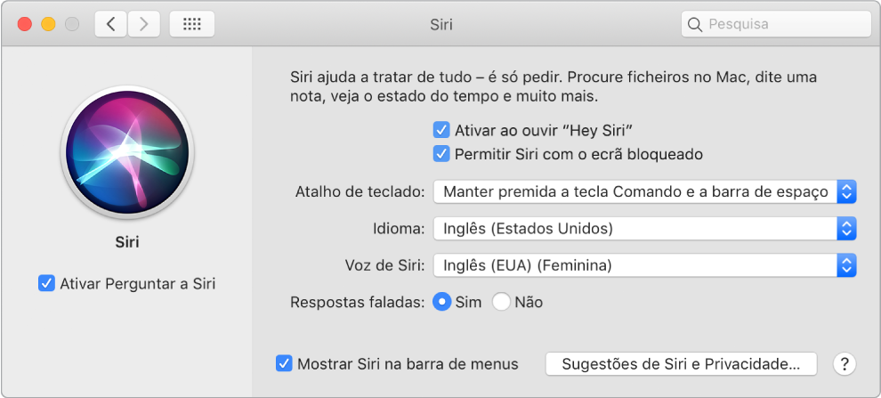 A janela de preferências de Siri com a opção “Ativar Perguntar a Siri’” selecionada à esquerda e várias opções para personalizar Siri à direita, incluindo “Ativar através de Hey Siri”.
