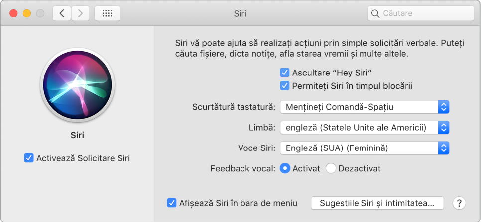 Fereastra de preferințe pentru Siri, având selectată opțiunea Activează Solicitare Siri în stânga și câteva opțiuni pentru personalizarea Siri în dreapta, inclusiv Ascultare “Hey Siri”.