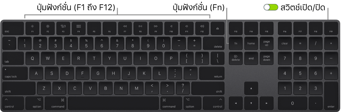 Magic Keyboard ที่แสดงปุ่ม Function (Fn) ที่มุมซ้ายล่างสุด และสวิตช์เปิด/ปิดเครื่องที่มุมขวาบนสุดของแป้นพิมพ์