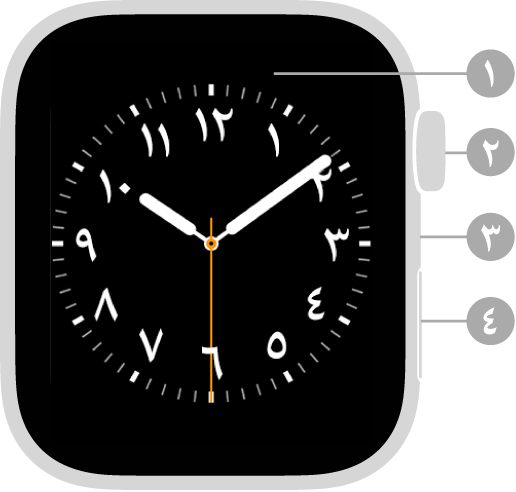 واجهة Apple Watch Series 4 مع وسائل شرح تشير إلى شاشة العرض وdigital crown والميكروفون والزر الجانبي.