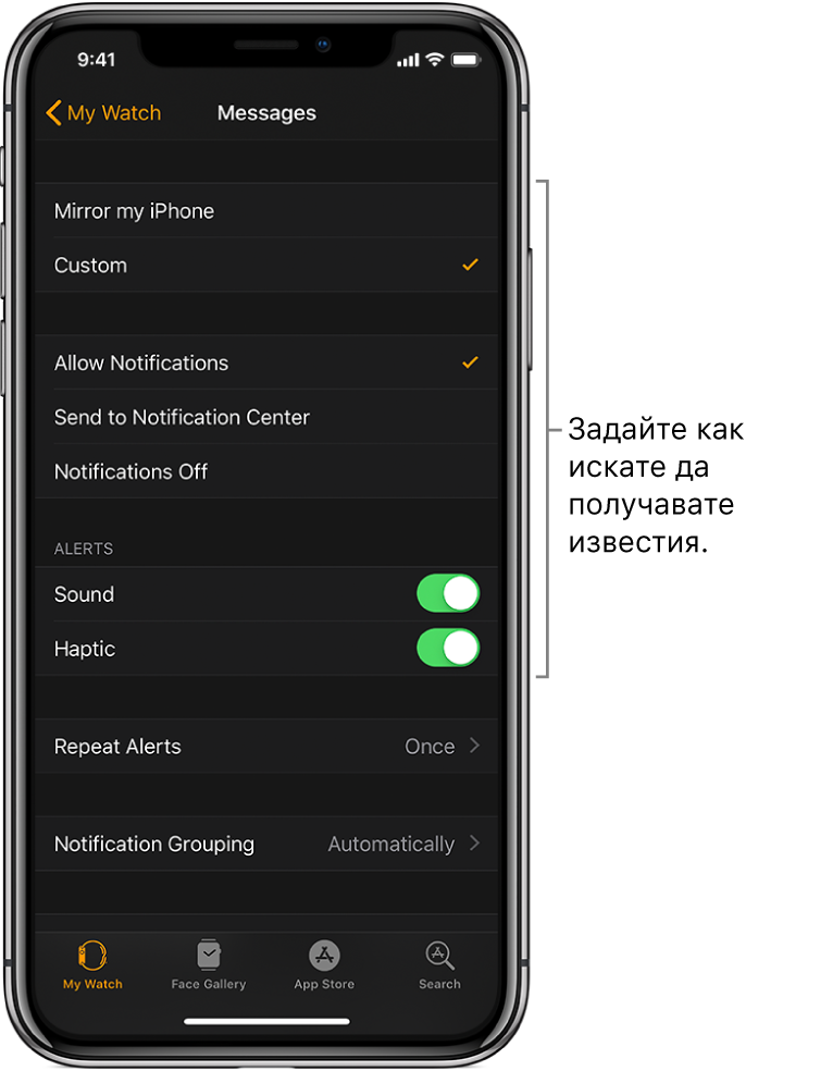 Настройки на съобщения в приложението Apple Watch на iPhone. Можете да изберете дали да се показват предупреждения, да включите звук, да включите осезаем сигнал и да повтаряте предупрежденията.