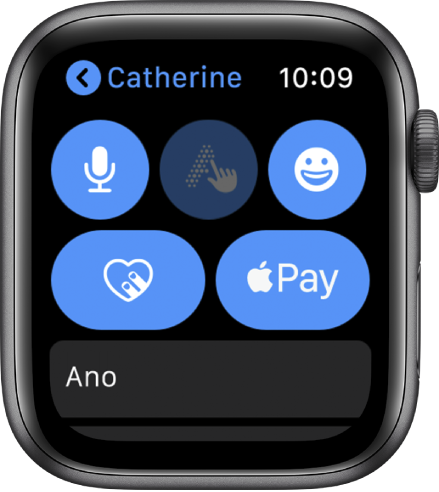Obrazovka aplikace Zprávy s tlačítkem Apple Pay vpravo dole.