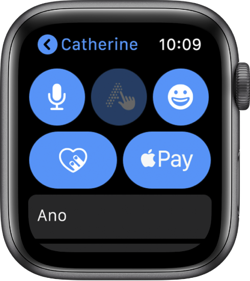 Obrazovka aplikace Zprávy s tlačítkem Apple Pay vpravo dole