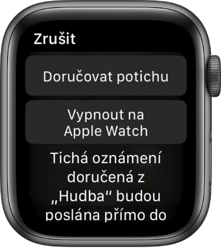 Nastavení oznámení na Apple Watch Na horním tlačítku je napsáno „Doručovat potichu“ a na tlačítku níže „Vypnout na Apple Watch“.