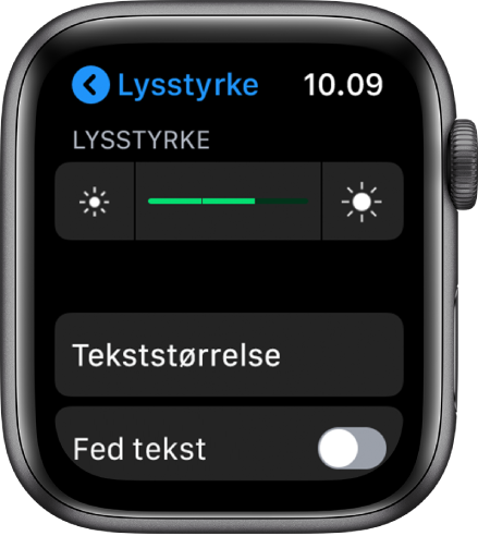 Indstillinger til Lysstyrke på Apple Watch med mærket Lysstyrke øverst, knappen Tekststørrelse nedenunder og betjeningsmuligheden Fed tekst nederst.