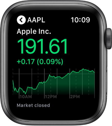Information about a stock in the Stocks app.