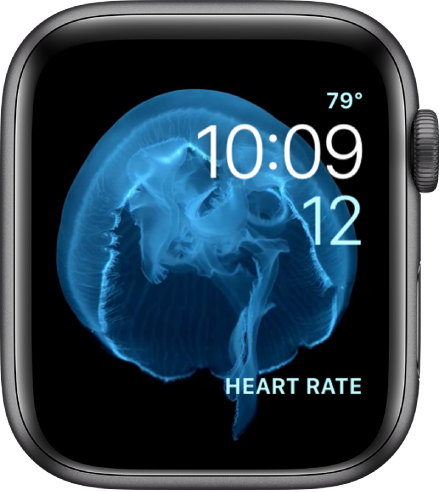 The Motion watch face showing a jellyfish. You can choose which object is in motion and add several complications.