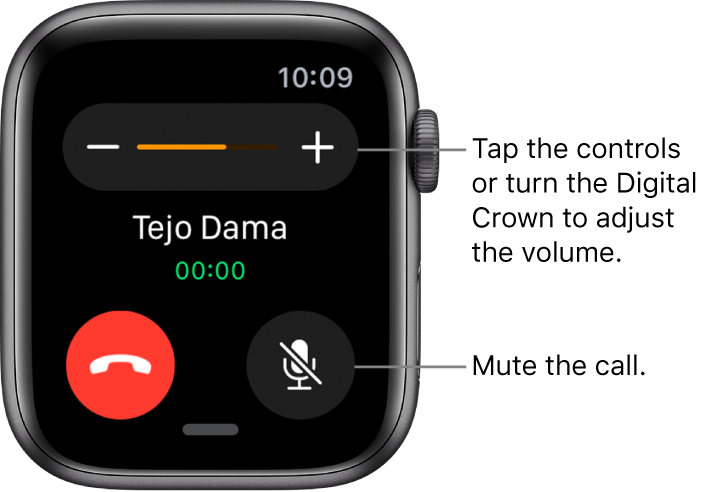 can you answer calls on apple watch 8