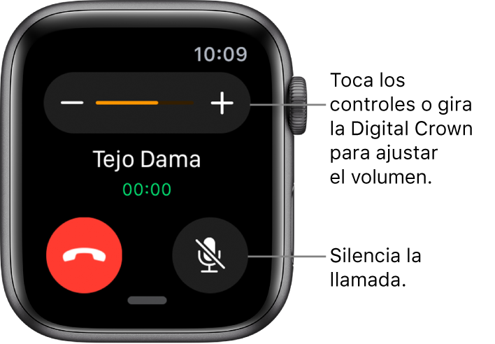 Durante una llamada telefónica entrante, la pantalla muestra los símbolos de volumen - y + en la parte superior y el botón de silencio en la esquina inferior derecha.