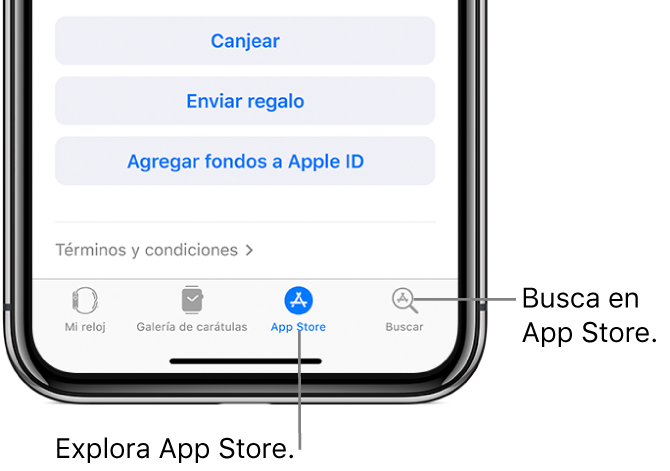 Parte inferior de la app Apple Watch en el iPhone, mostrando cuatro pestañas: la izquierda es "Mi reloj", donde está la configuración del Apple Watch; luego está la "Galería de carátulas", donde puedes explorar las carátulas y complicaciones disponibles; luego App Store, donde puedes descargar apps para el Apple Watch; y la última pestaña es Buscar, donde puedes encontrar una app en App Store.