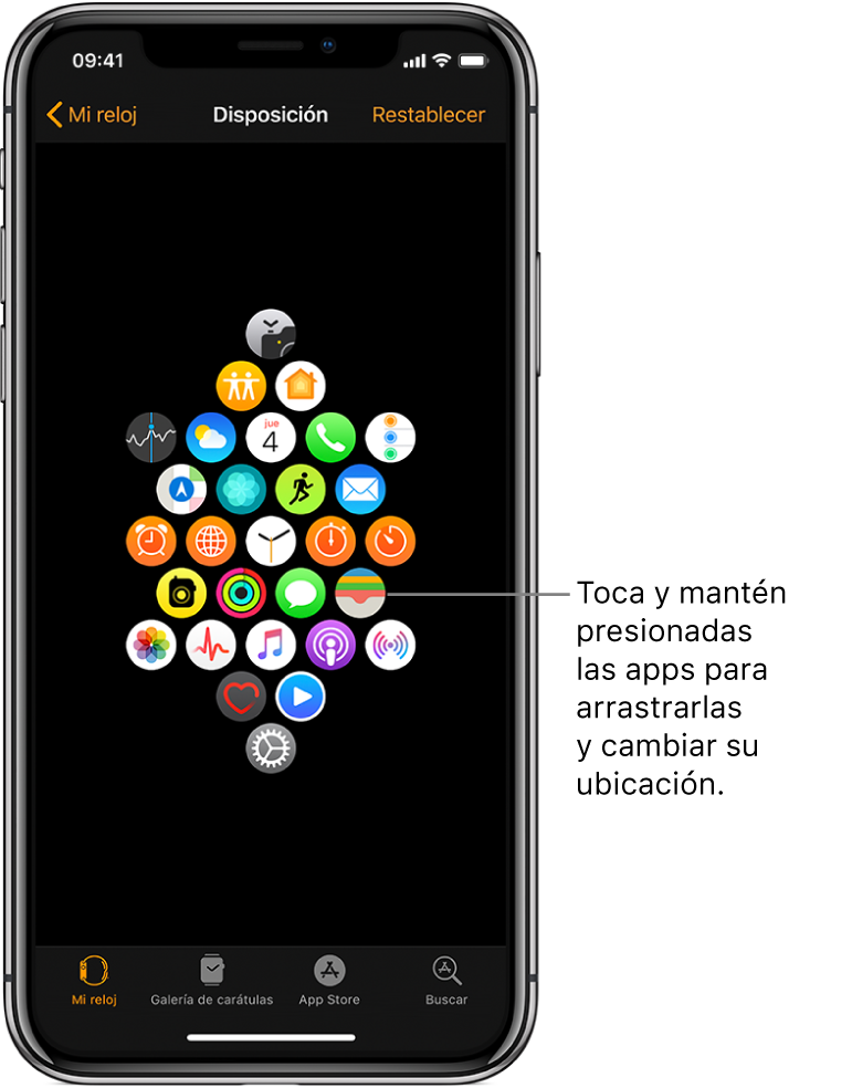 La pantalla con la disposición en la app Apple Watch, mostrando una cuadrícula de íconos. Un texto señala el ícono de una app y dice "Toca y arrastra las apps para cambiar su ubicación".