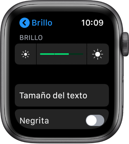 Ajustes de Brillo del Apple Watch, con el regulador Brillo en la parte superior, el botón “Tamaño del texto” debajo y el control Negrita en la parte inferior.