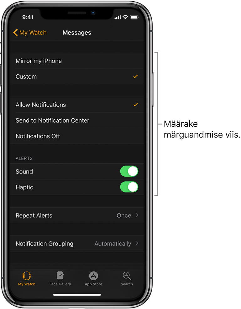 Rakenduse Messages seaded iPhone'i rakenduses Apple Watch. Saate valida, kas kuvada märguandeid, lülitada heli sisse, lülitada värintagasiside sisse ning kas kasutada korduvaid märguandeid.