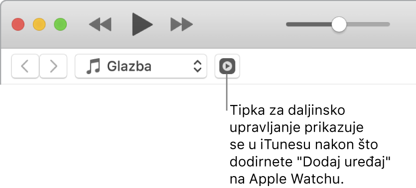 Tipka Upravljač pojavljuje se u aplikaciji iTunes kad pokušate dodati medijateku na Apple Watch.