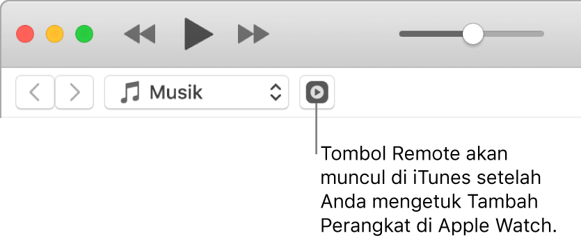 Tombol Remote di iTunes akan muncul saat Anda mencoba menambahkan perpustakaan ke Apple Watch.