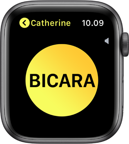 Layar Walkie-Talkie menampilkan tombol Bicara besar di tengah, indikator volume di kanan atas, dan nama "Tejo” di kiri atas.