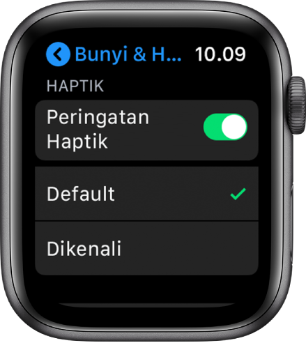 Peringatan Bunyi & Haptik di Apple Watch, dengan pengalih Peringatan Haptik, dan pilihan Default dan Dikenali di bawahnya.