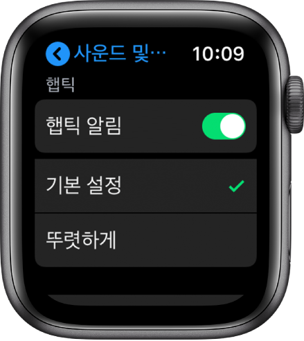 햅틱 알림 스위치가 있는 Apple Watch의 사운드 및 햅틱 설정, 그 아래에는 기본 및 뚜렷하게 옵션이 있습니다.