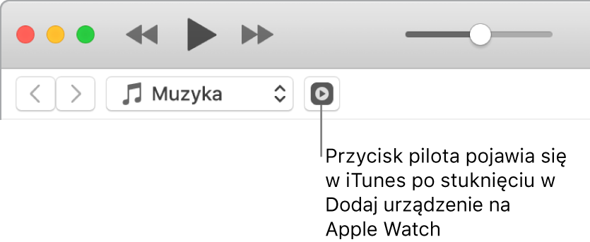 Przycisk pilota w iTunes pojawia się, gdy próbujesz dodać bibliotekę iTunes na Apple Watch.