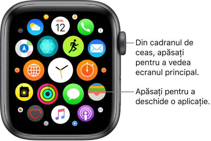 Ecranul principal în vizualizarea grilă pe Apple Watch, cu aplicațiile sub formă de grup. Apăsați pe o aplicație pentru a o deschide. Trageți pentru a vedea mai multe aplicații.