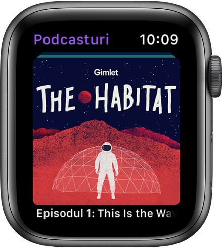 Un ecran Podcasturi prezentând o dală mare cu numele podcastului. Numele unui episod apare dedesubt.